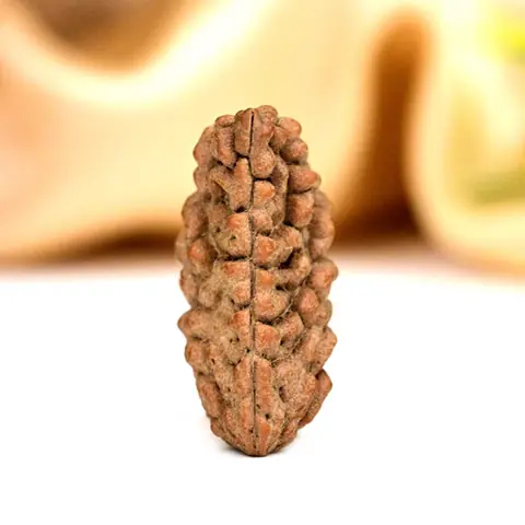 The bead standing upright, showing its long oval outline