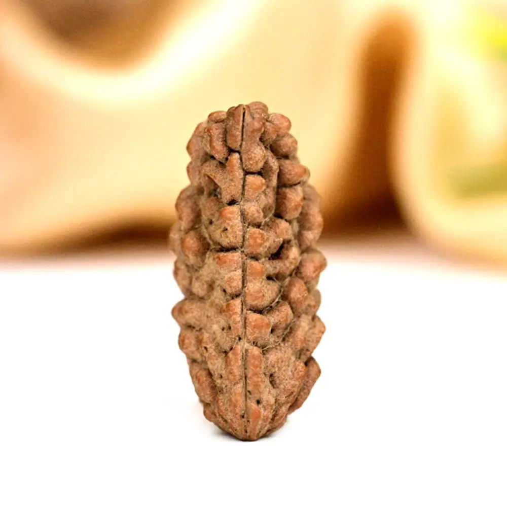 The bead standing upright, showing its long oval outline