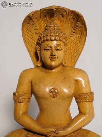 Close view of the face and serpent hood