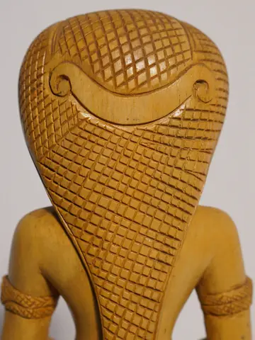 The back showing the carved serpent hood