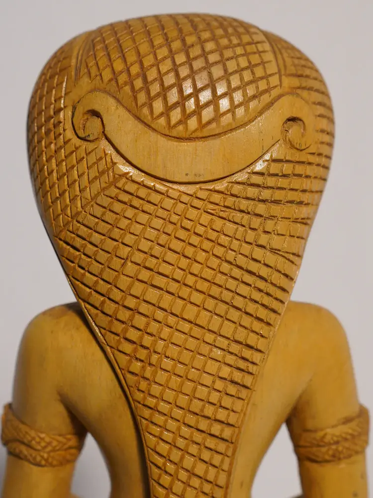 The back showing the carved serpent hood