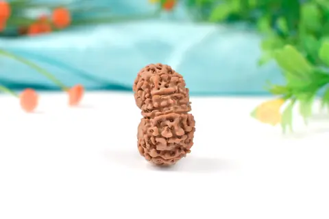 The bead turned to show its side