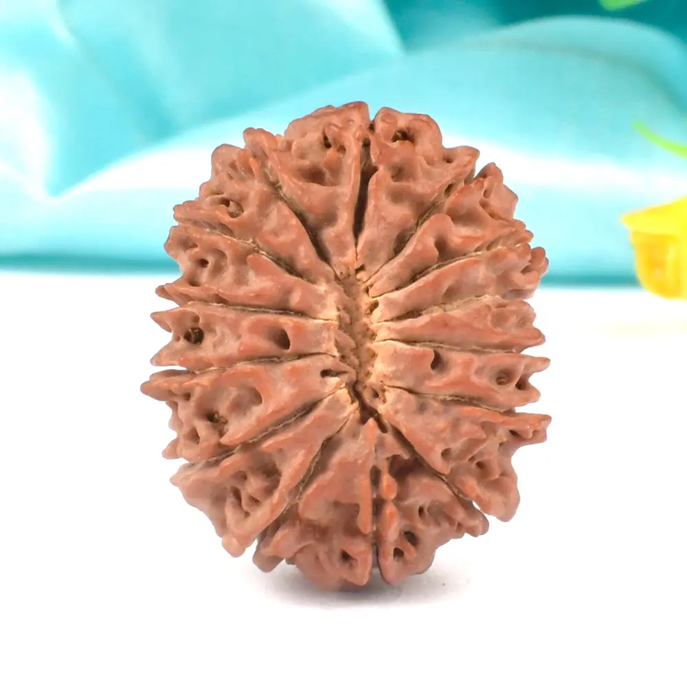 Three quarter view of the bead