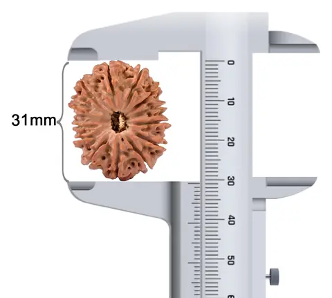 Bead beside a caliper reading 31 mm