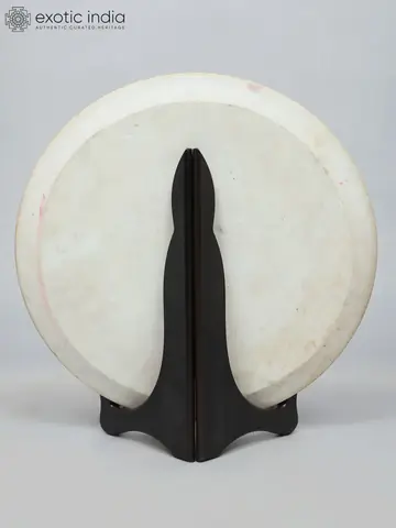 Back of the plate on the stand