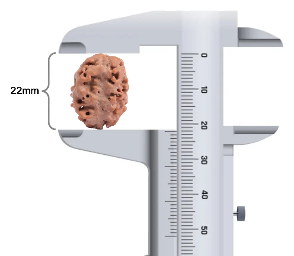 Bead beside a caliper reading 22 mm