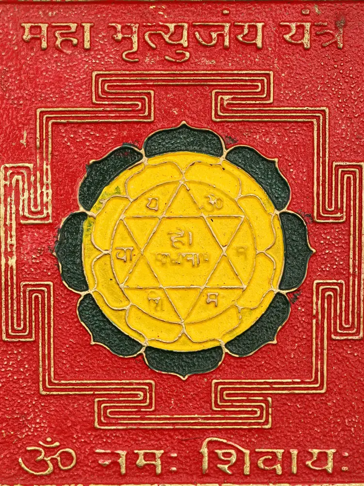 Close view of the yellow centre and Devanagari text