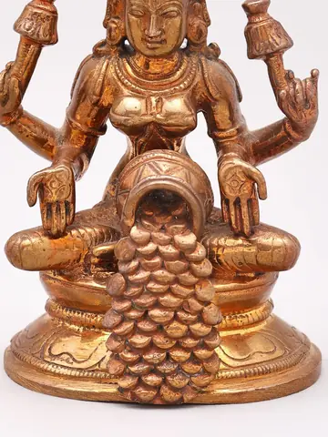 Close view of the pot and coins at her feet