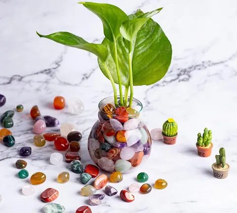 Mixed stones in a vase with a plant on a marble table