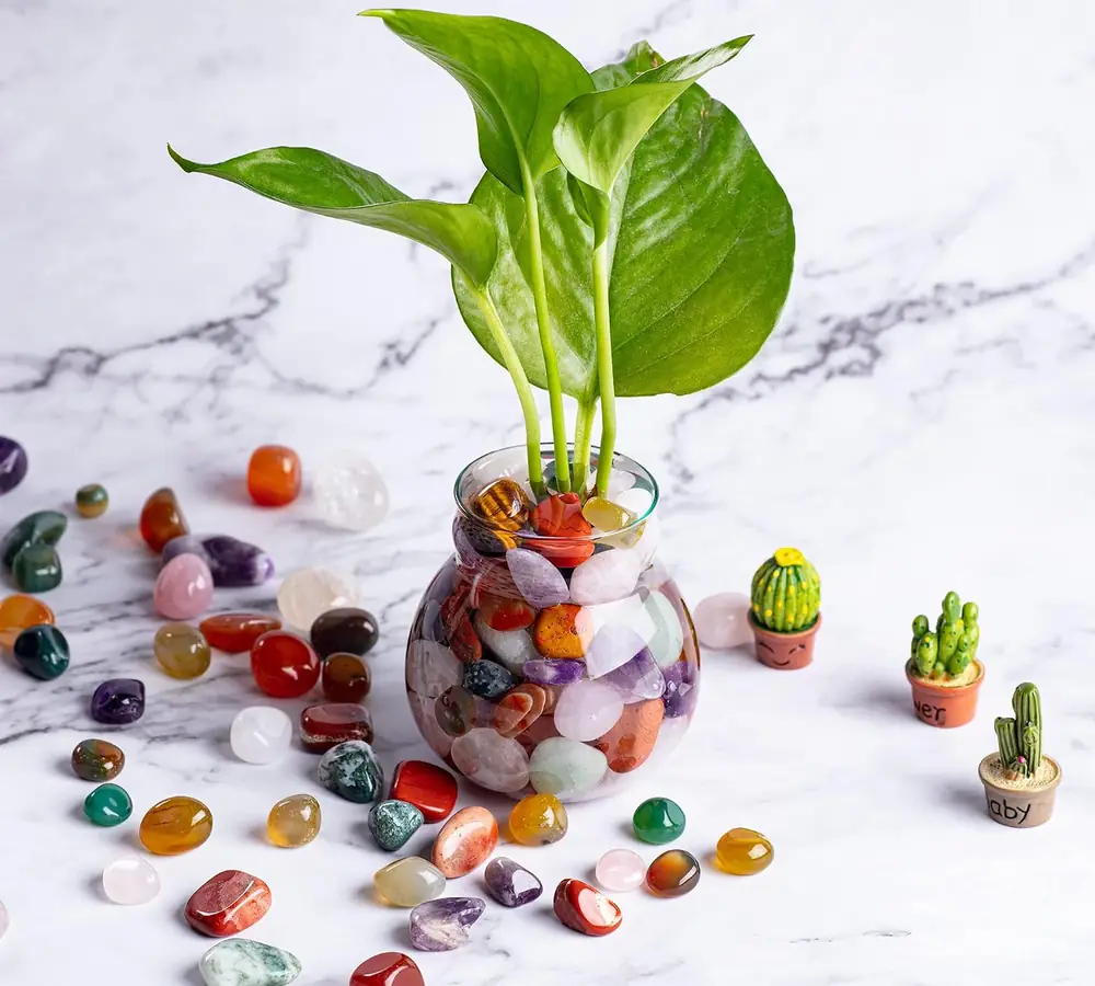 Mixed stones in a vase with a plant on a marble table