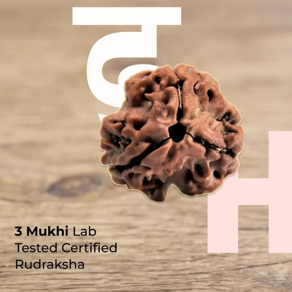 Three mukhi rudraksha bead on a wooden surface with the seller's lettering