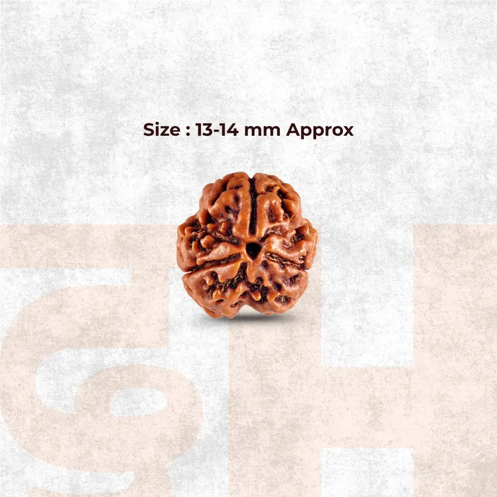 Graphic giving the bead size as 13 to 14 mm