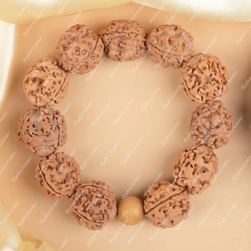 Bracelet of large rudraksha beads laid flat on cream cloth