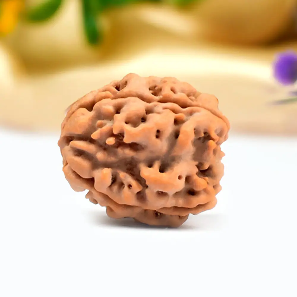 The same bead seen from the side