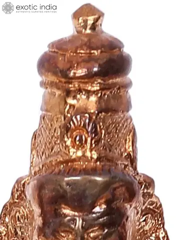 Close view of the crown and upper body