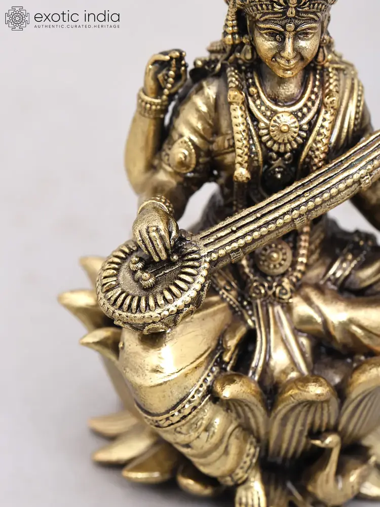 Close view of the figure and veena