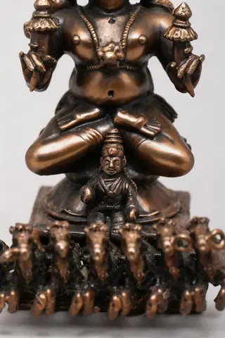 Close view of the seven horses