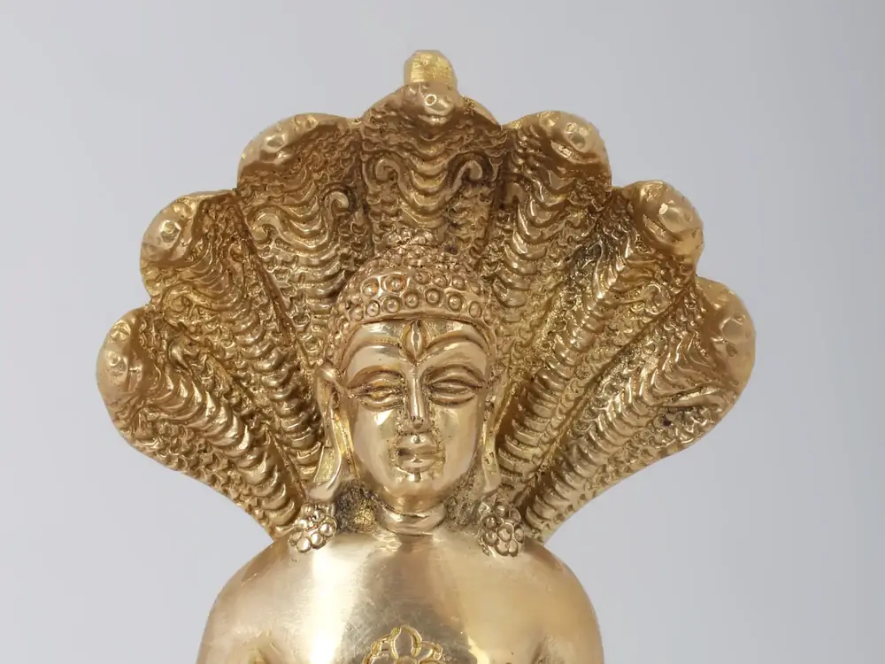 Close view of the serpent hood canopy
