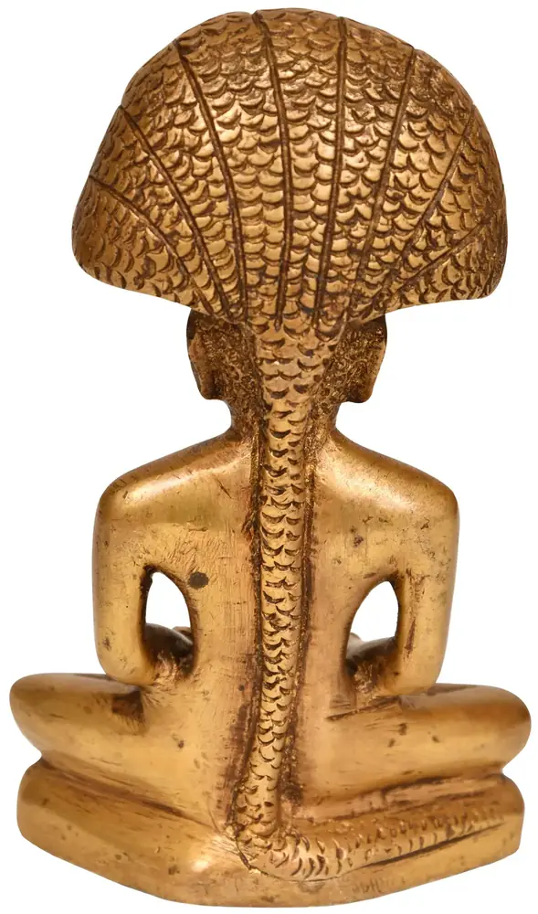 Back of the statue showing the serpent coil