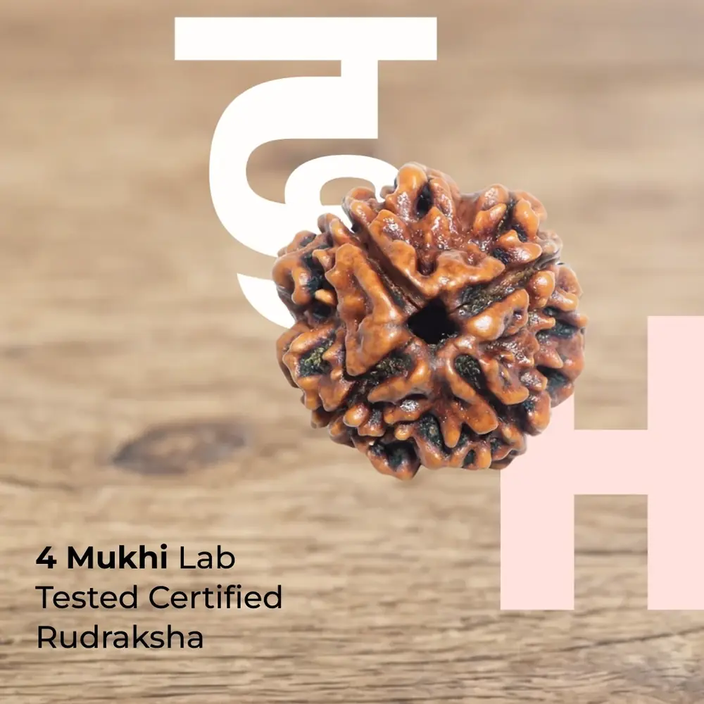 Four mukhi rudraksha bead on a wooden surface with the seller's lettering