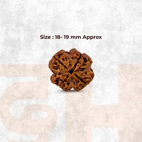 Graphic giving the bead size as 18 to 19 mm