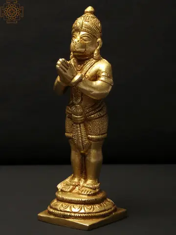 Back view with the tail and crown