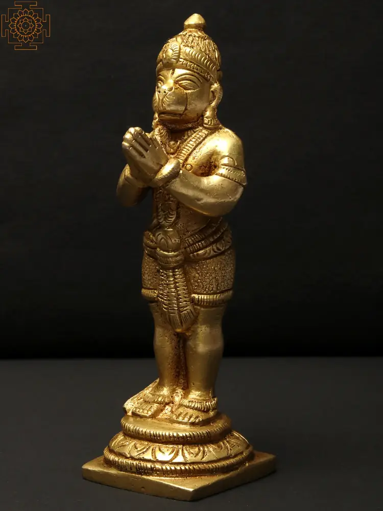 Back view with the tail and crown