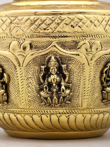 Close view of a Lakshmi raised panel