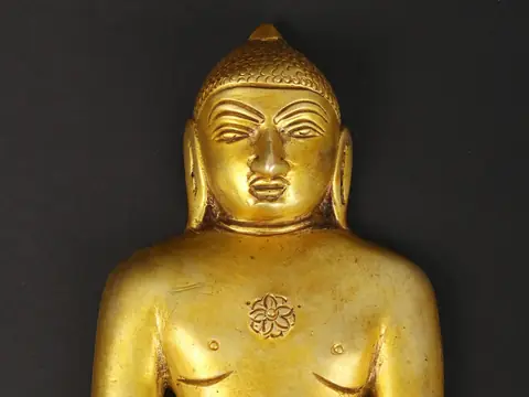 Close view of the face and chest