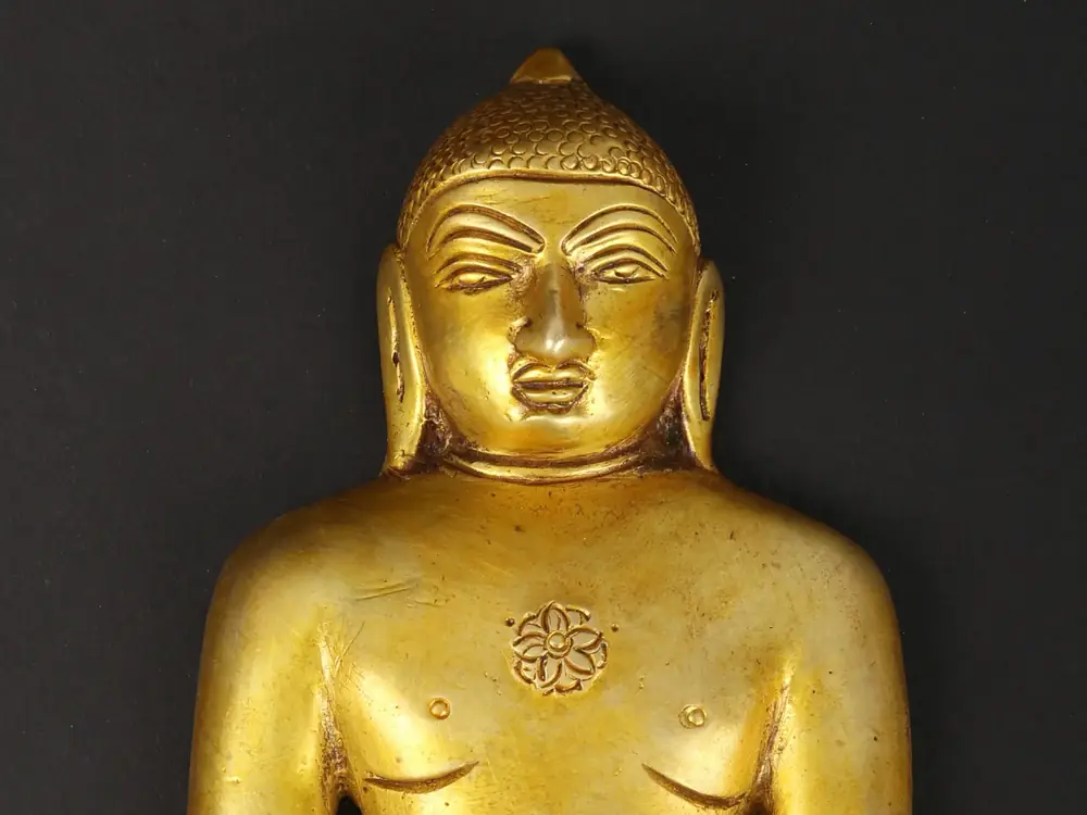 Close view of the face and chest