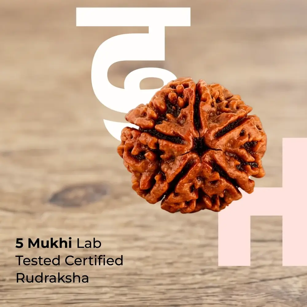 Five mukhi rudraksha bead on a wooden surface with the seller's lettering