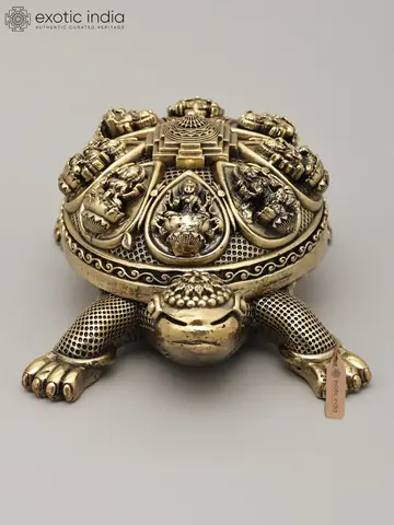 The tortoise from a three-quarter angle