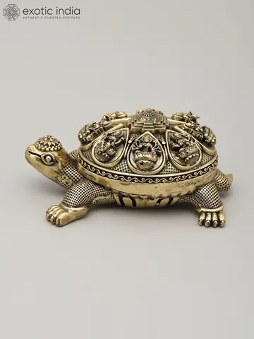 The tortoise seen from the side