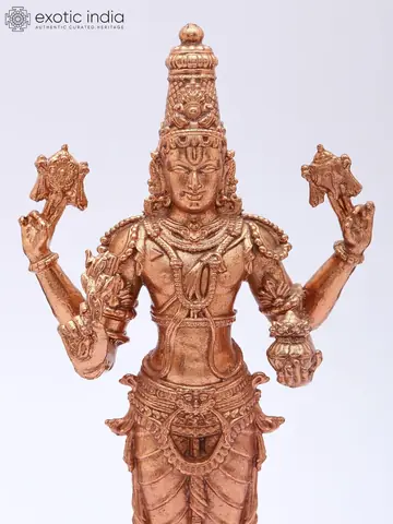 Close view of the upper body and arms