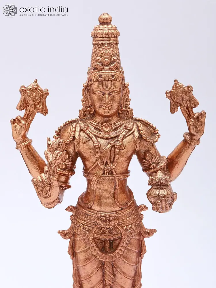 Close view of the upper body and arms