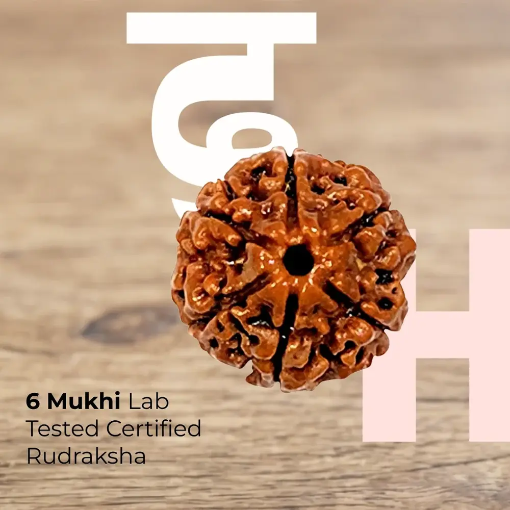 Six mukhi rudraksha bead on a wooden surface with the seller's lettering