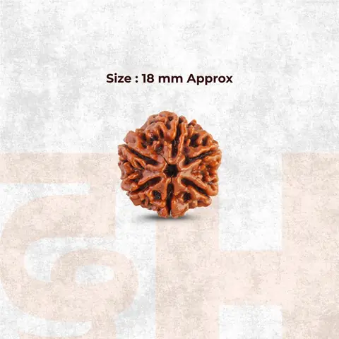 Graphic giving the bead size as 18 mm