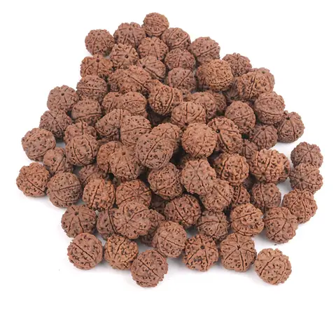 A heap of loose Nepali rudraksha beads of the same grade