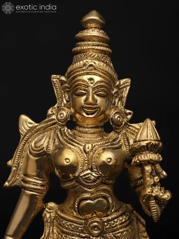 Close view of the face and crown