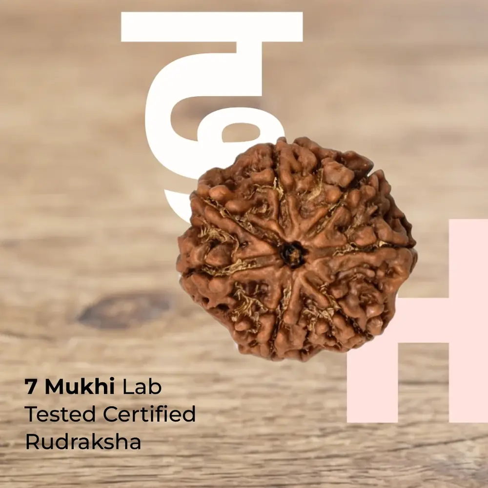 Seven mukhi rudraksha bead on a wooden surface with the seller's lettering