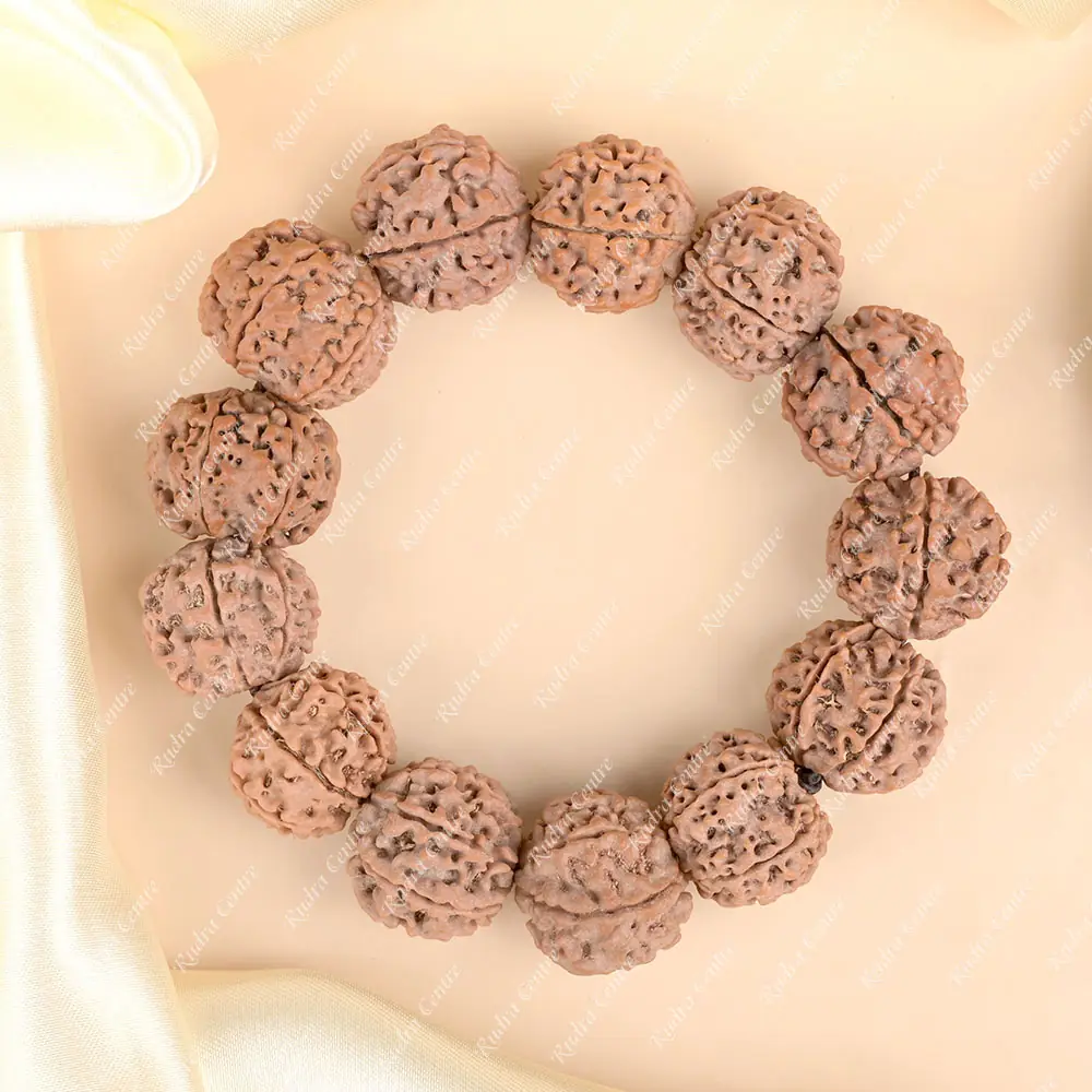 Seven mukhi rudraksha bracelet laid flat on cream silk