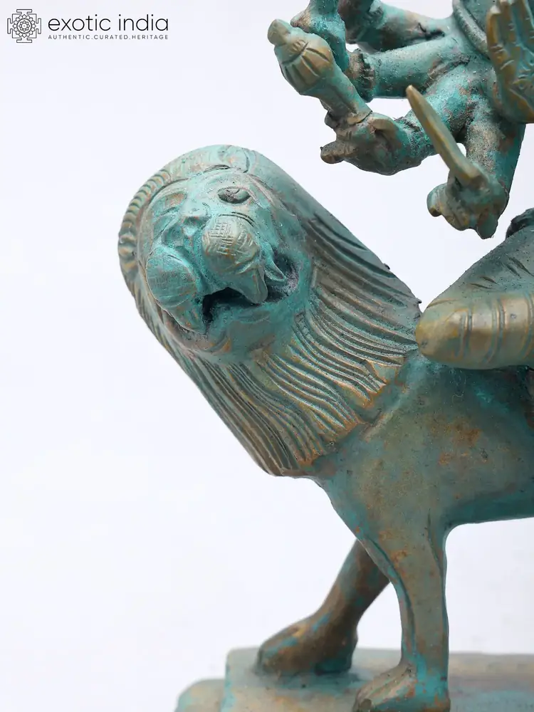 Close view of the lion