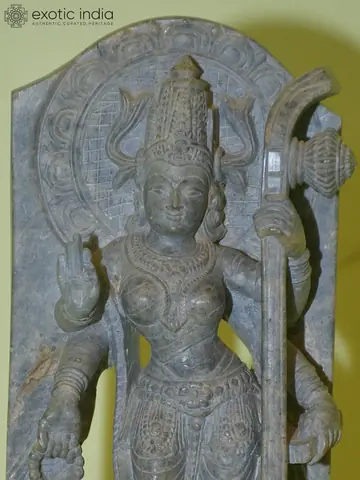 Close view of the face and arch