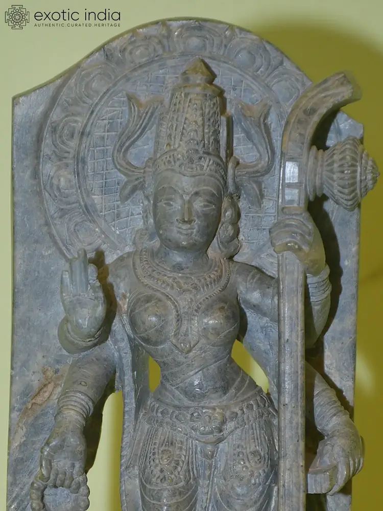Close view of the face and arch