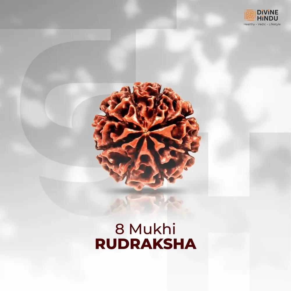 Eight mukhi rudraksha bead on a pale grey ground with the seller's label