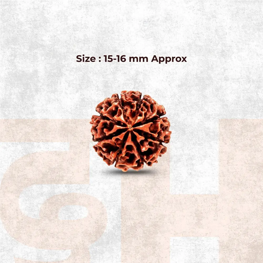 Graphic showing the bead and its size as 15 to 16 mm