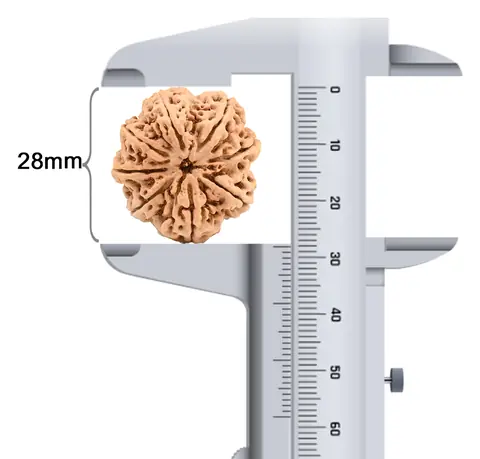 Bead beside a caliper reading 28 mm