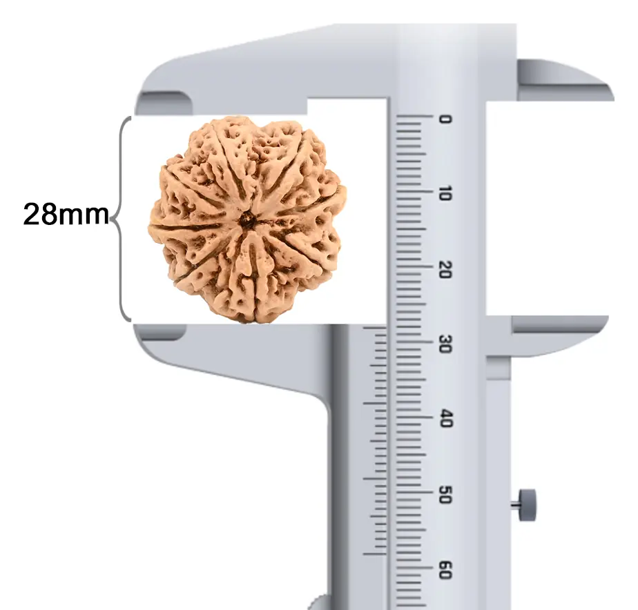 Bead beside a caliper reading 28 mm
