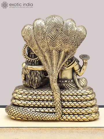Back of the serpent hoods and coils