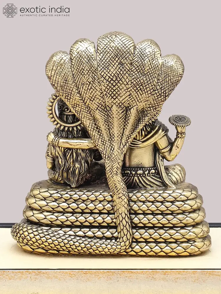 Back of the serpent hoods and coils